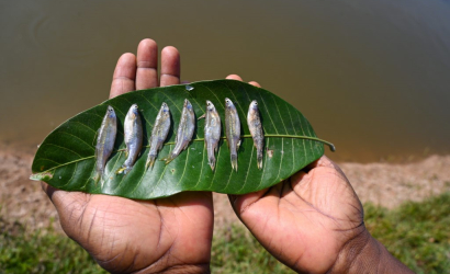 © WorldFish/Neil Palmer