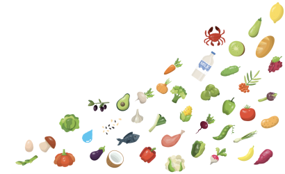 HDSFS food icons