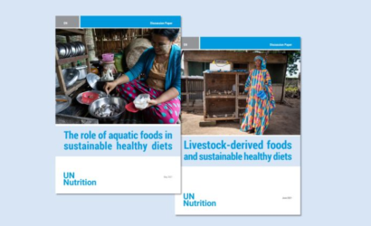 Covers UN-Nutrition papers