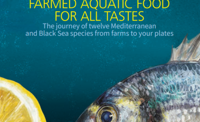 Cover-FAO-Aquatic foods-12 countries