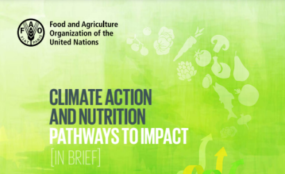 FAO-Climate Action & Nutrition-cover (2023)