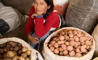 IFAD Cost of Malnutrition podcast photo