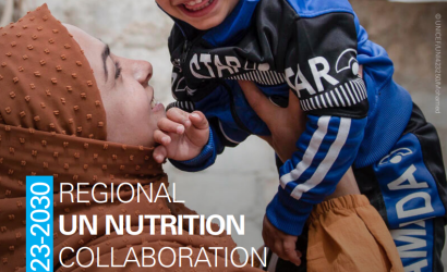 MENA UN Nutrition Framework (2023-30)-cover