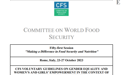 CFS VGs-Gender Equality FSN-image