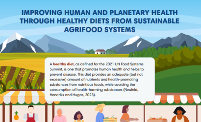 FAO-Improving human & planetary health-HDSFS-cover