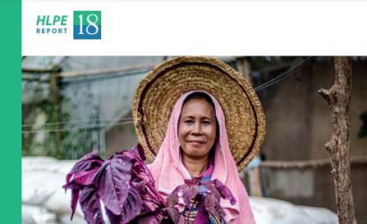 HLPE report-Reducing inequalities 4 FSN-cover (2023)