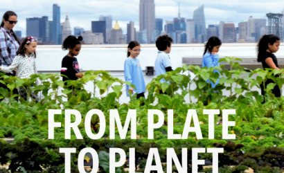 IPES-From Plate 2 Planet-cover