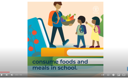 FAO-Nutr Stds-Schools-video image (2022)