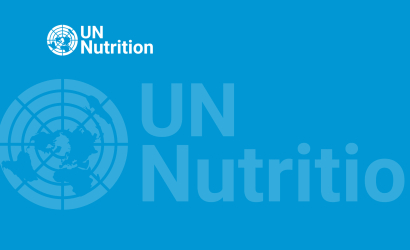 UN-Nutrition background image
