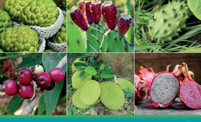 FAO-Compendium Forgotten African Foods-cover (Mar2024)