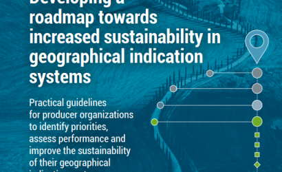 FAO-Roadmap-Sustainability GIS-cover (Apr2024)