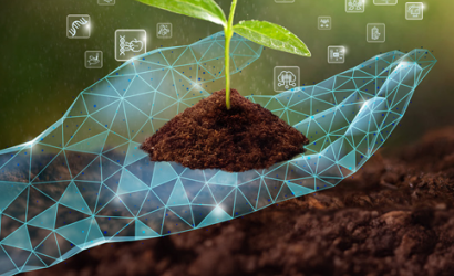 FAO-Harvesting Change-Cover (Jul2024)