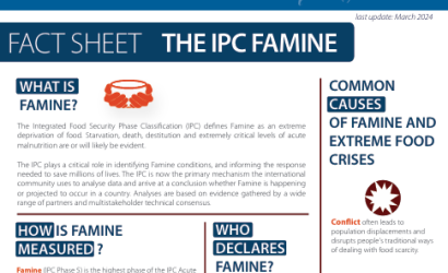 IPC-Famine Fact Sheet-image (Aug2024)