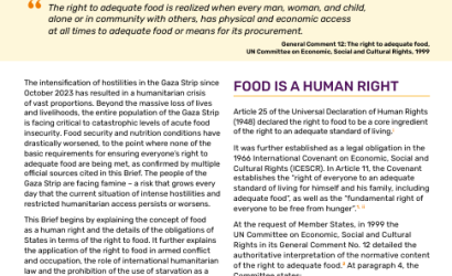 FAO_Protecting RtF-Gaza-Brief-image (Jul2024)