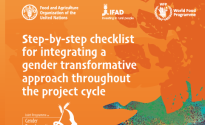 Gender checklist-RBAs (Nov2024)