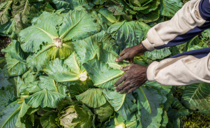 eConsultation KMBF (24Dec2024)