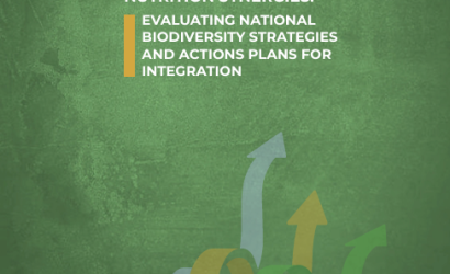 GAIN-Biodiversity-Nutrition Synergies-cover (2024)