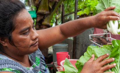 IFAD-Nutrition Investment Pacific-cover (Oct2024)