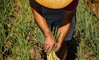 FoodTank-2025 List-photo