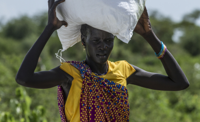 CFS-Call4Submissions-FSN framework use (Dec2024)-2