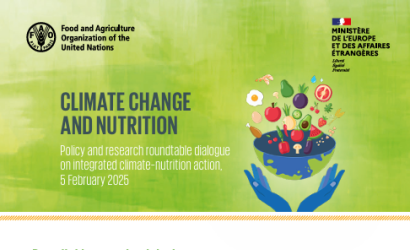 FAO Climate-Nutrition Roundtable brief-cover (Mar2025)
