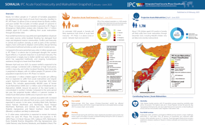 IPC-Somalia-FS-Acute Malnutrition Situation (Feb2025)