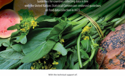 FAO-WB_Food Consumption Data-HCES-cover (Mar2025)