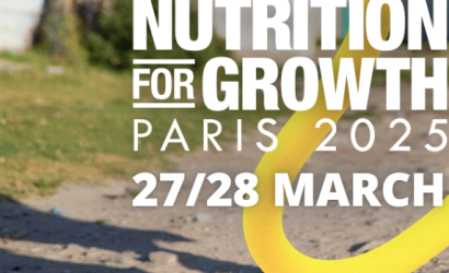 N4G Paris Declaration image (11Apr2025)