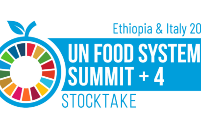 Banner for the UN Food Systems Summit +4