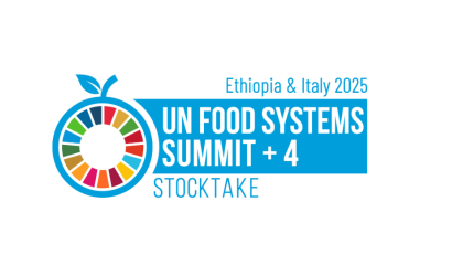 Banner for the UN Food Systems Summit +4